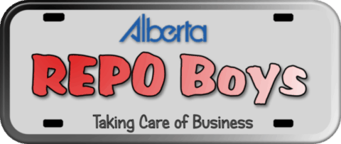 repo boys logo repo boys logo